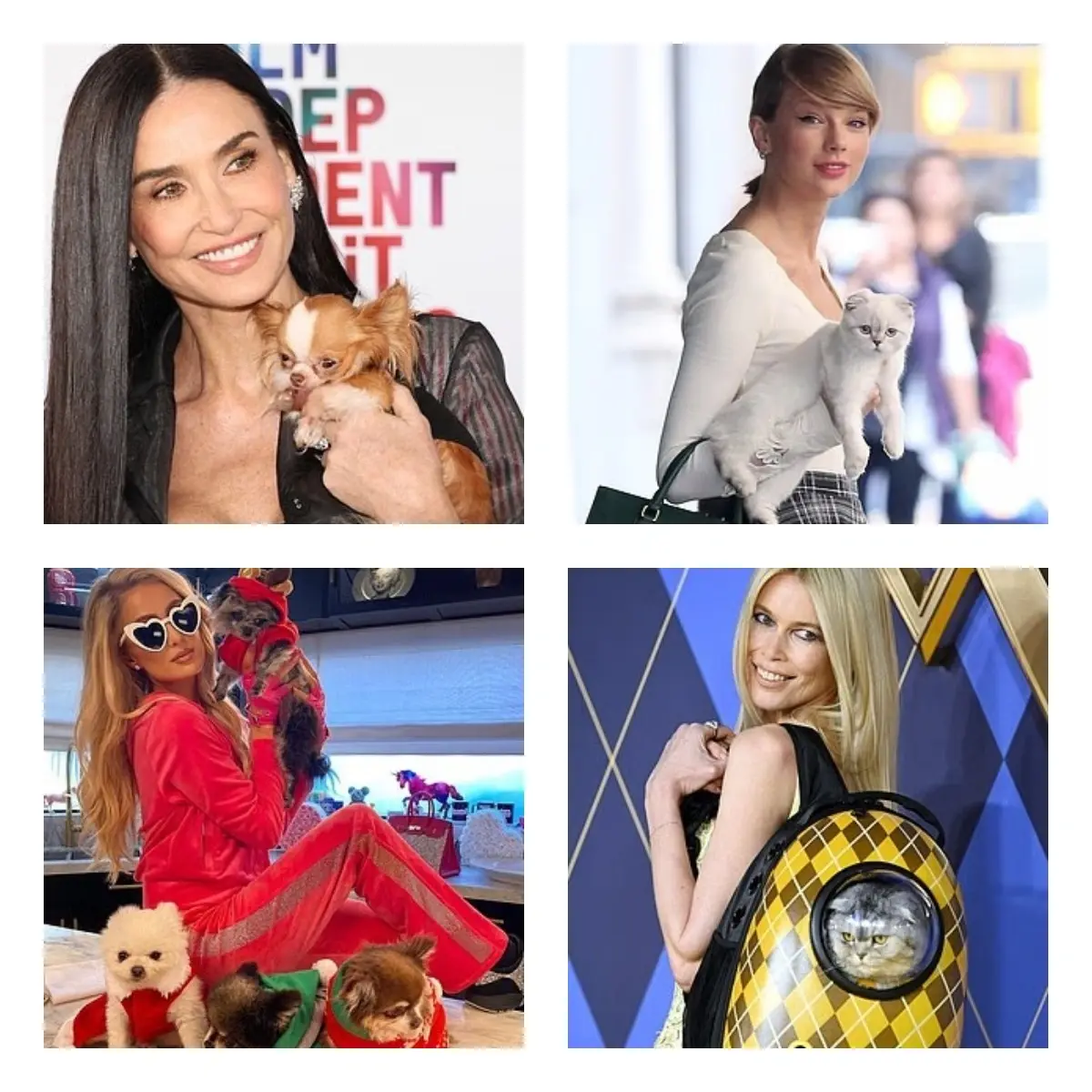 Paris Hilton, Demi Moore, Taylor Swift, Claudia Schiffer with their pets