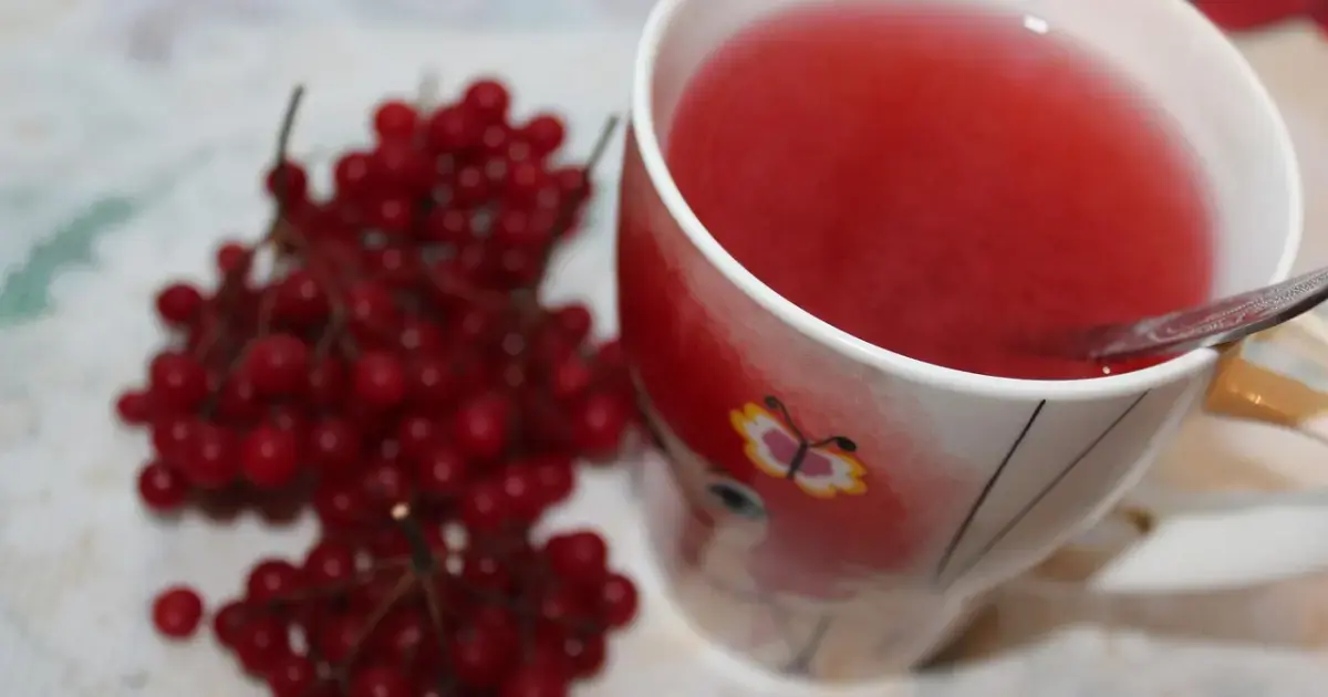 Viburnum with Honey: Recipe for a Healing Drink