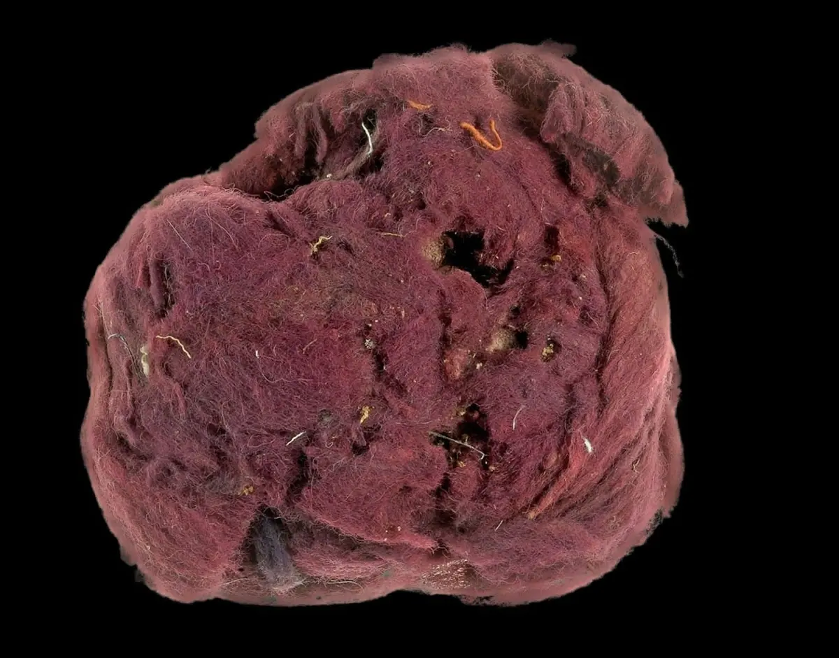 Purple of Ancient Romans