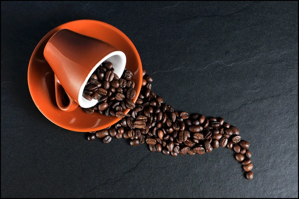 A cup with coffee beans