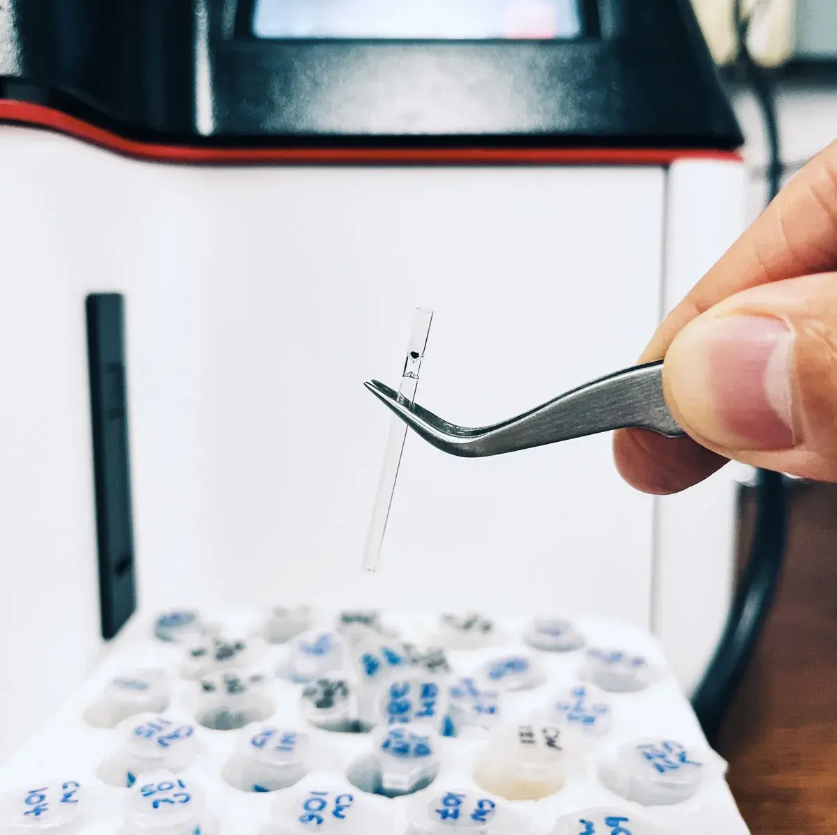 Sample of shale aged 3.5 billion years used in analysis