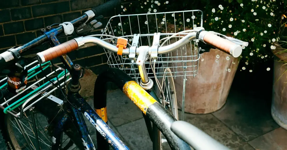 bicycle by the Christmas tree
