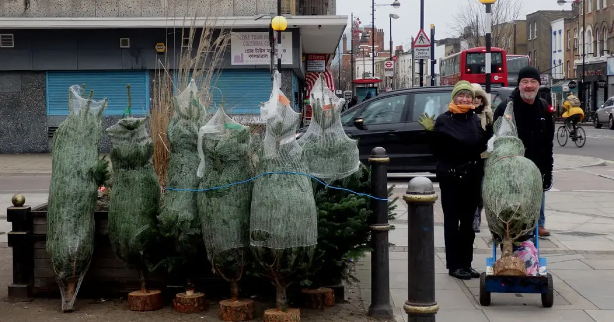 How to Choose a Christmas Tree That Boosts Health and Reduces Stress: Experts