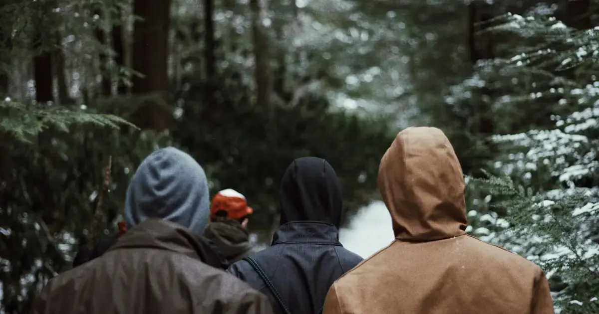 people walking in the forest