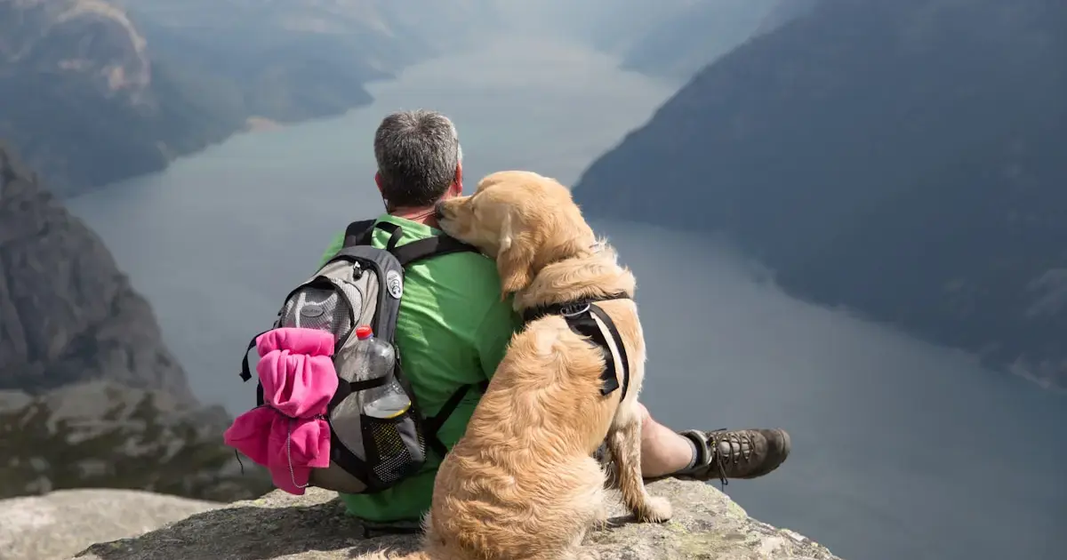People and golden retrievers are genetically related: a surprising discovery