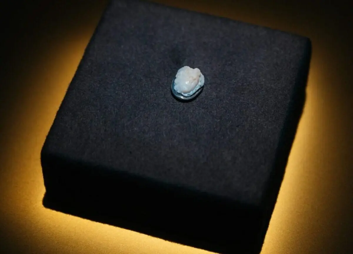 a stone featuring the image of Medusa Gorgon