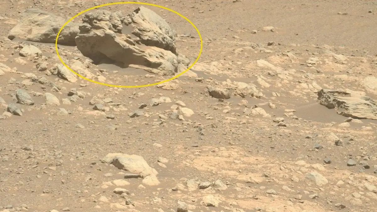 Bleached rocks on Mars