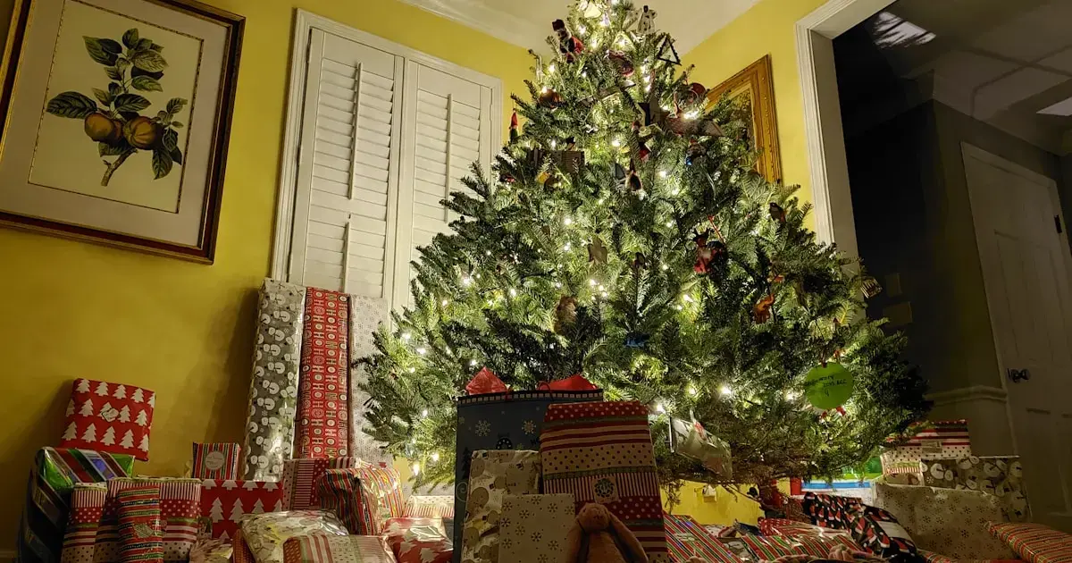 Christmas tree with light garlands