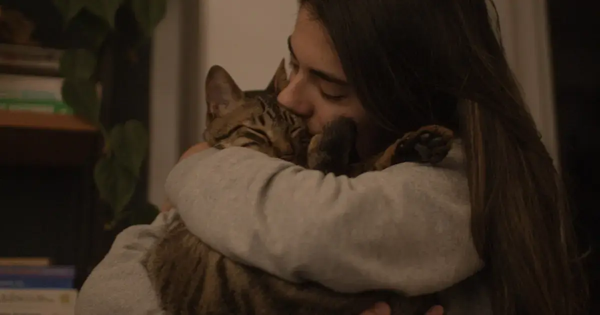 People got close to cats 4,000 years ago