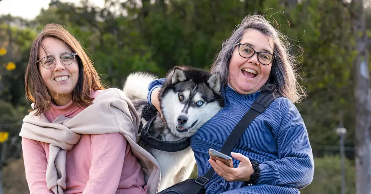 People still struggle to recognize dog emotions: researchers