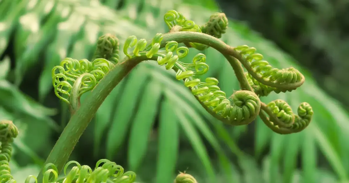 Scientists have discovered the formation of rare earth element crystals in a plant