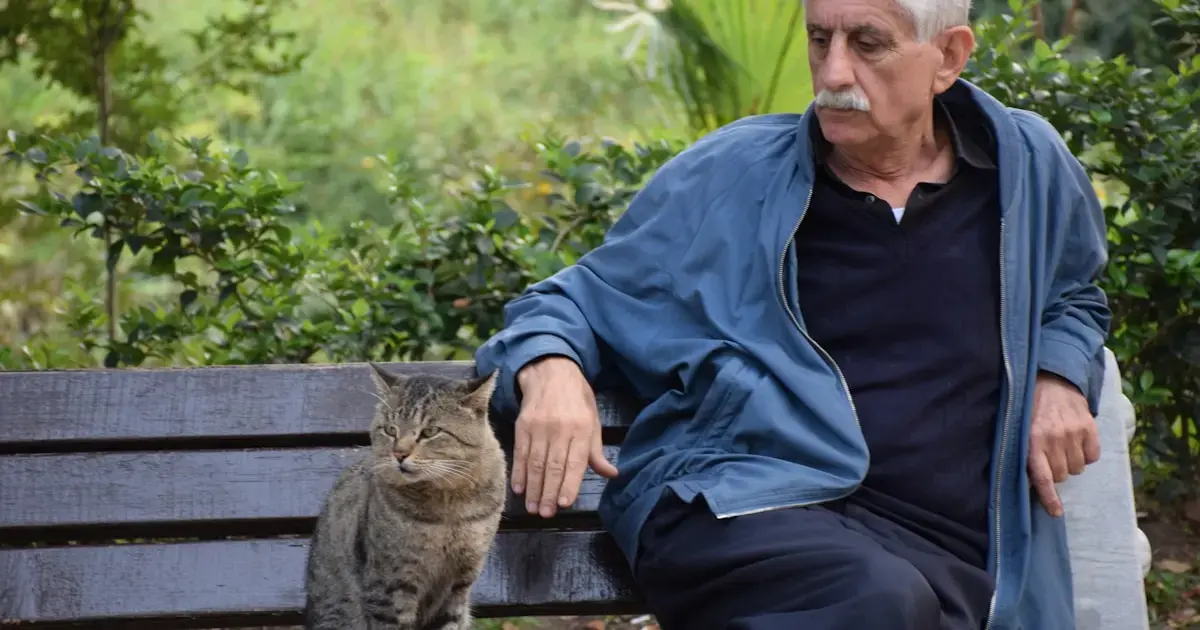 Cats communicate more actively with men than with women