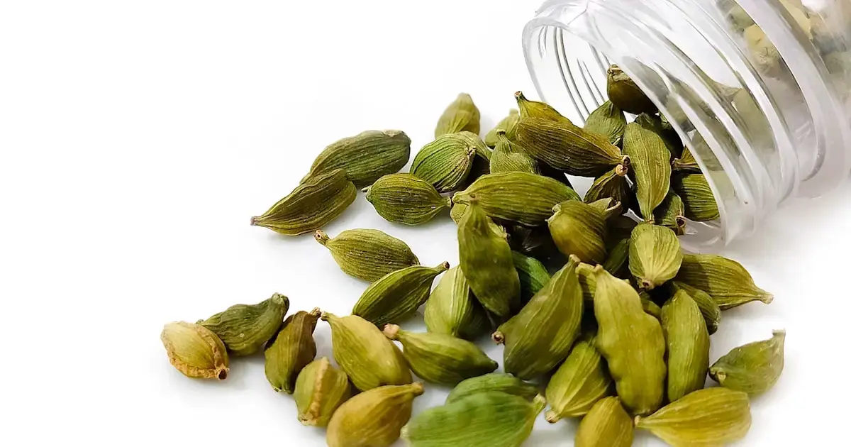 Cardamom