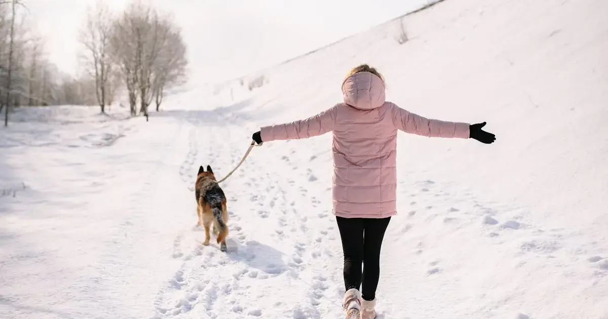 woman with a dog in a winter forest