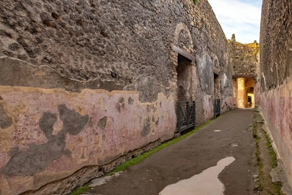 About tenderness and masculinity: 79 previously unknown graffiti discovered in Pompeii