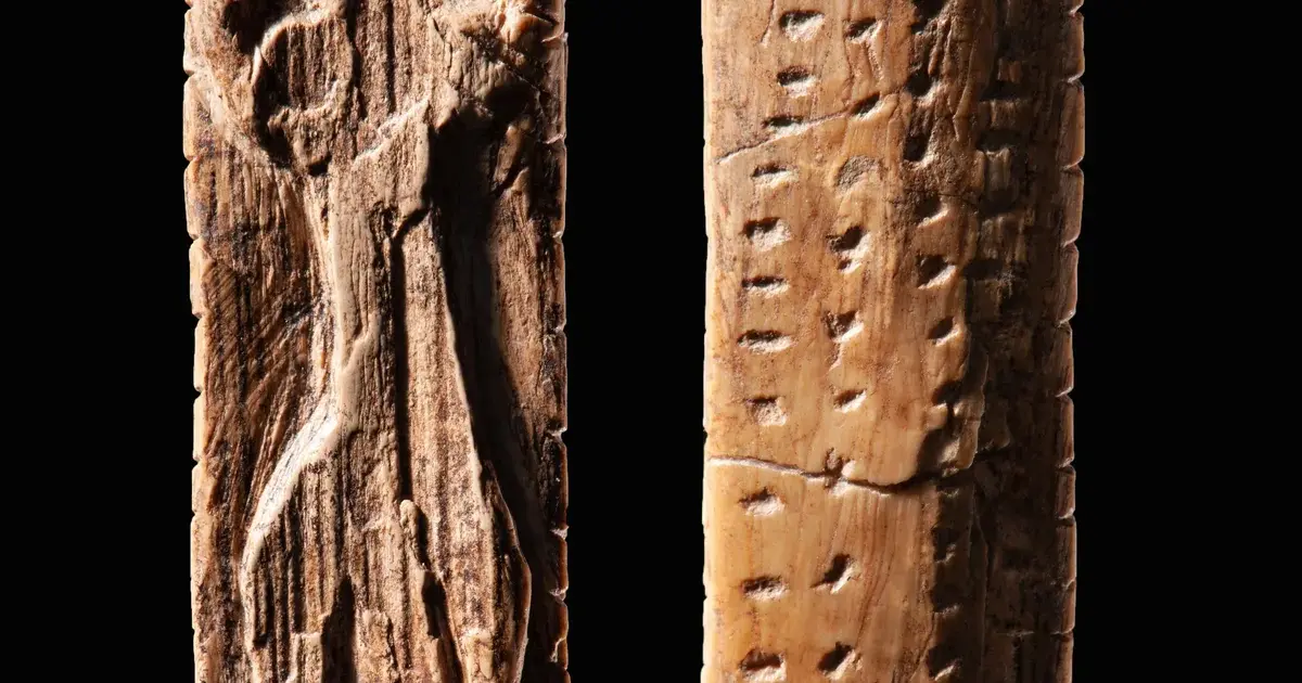 Images carved by hunters and gatherers on Paleolithic objects