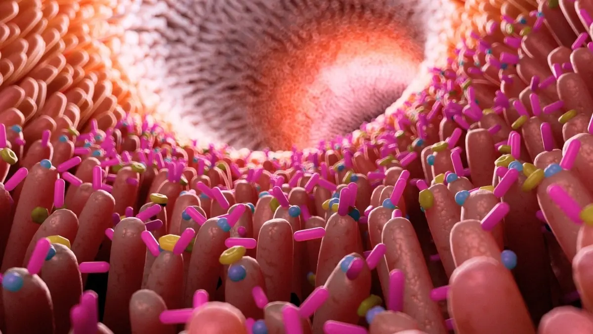 Inflammation of the intestines threatens Alzheimer's disease