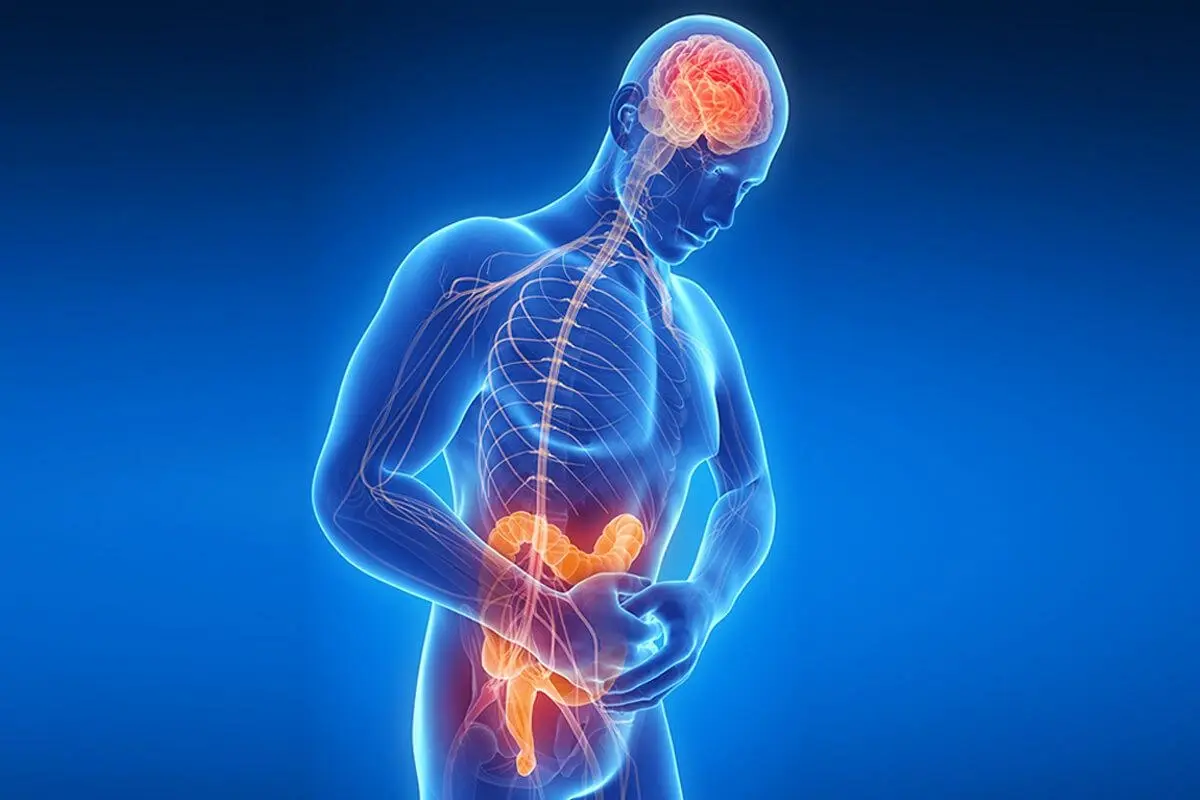 Sleep deprivation affects the gut via the vagus nerve