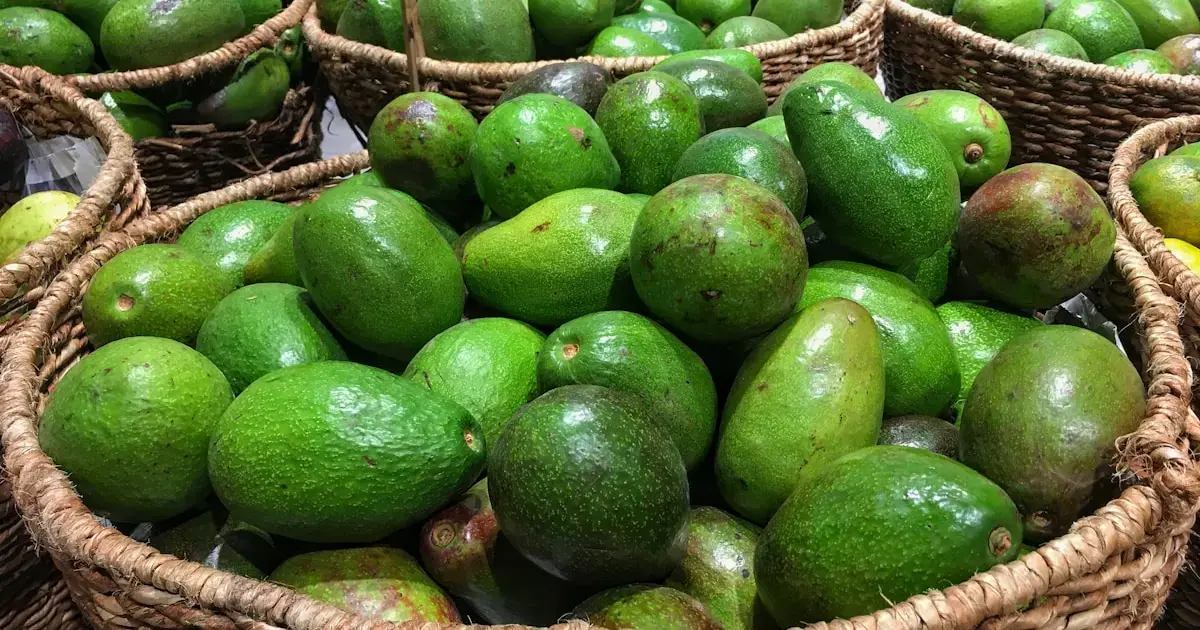 The Magical Avocado: Experts Confirm the Benefits of This Green Fruit