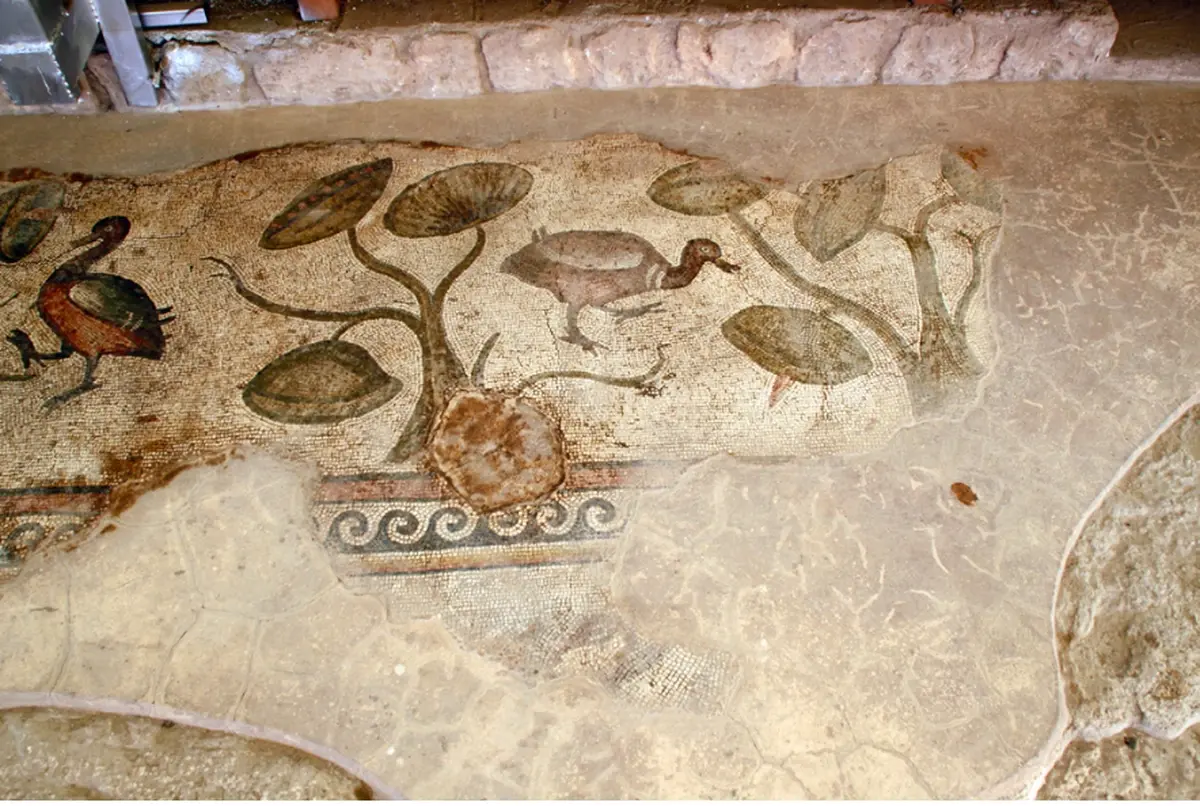 Mosaic of the Villa of the Amazons, ducks