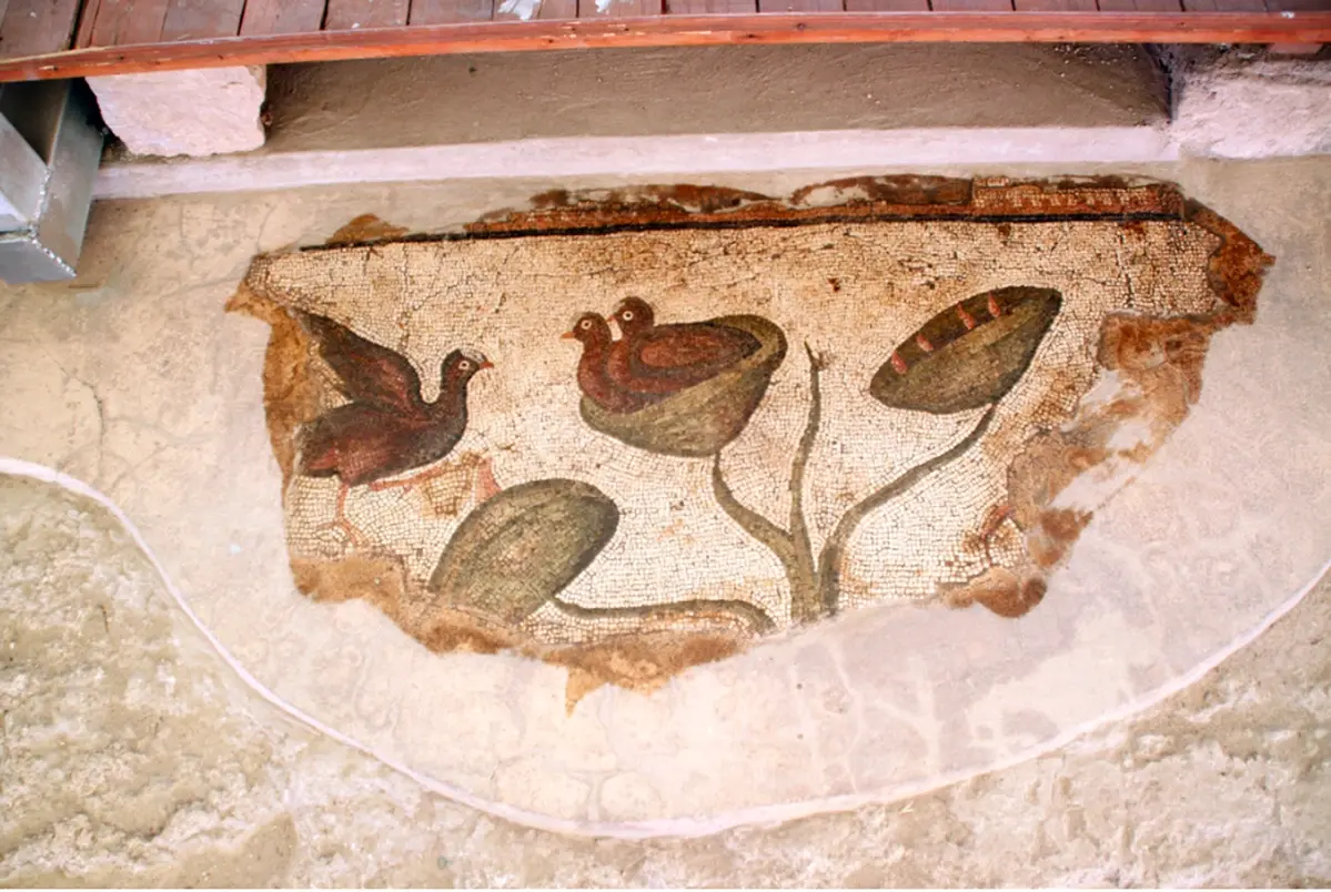 Mosaic of the Villa of the Amazons, Birds Room