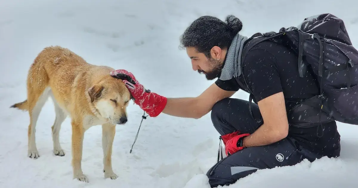 a man petting a dog in the snow