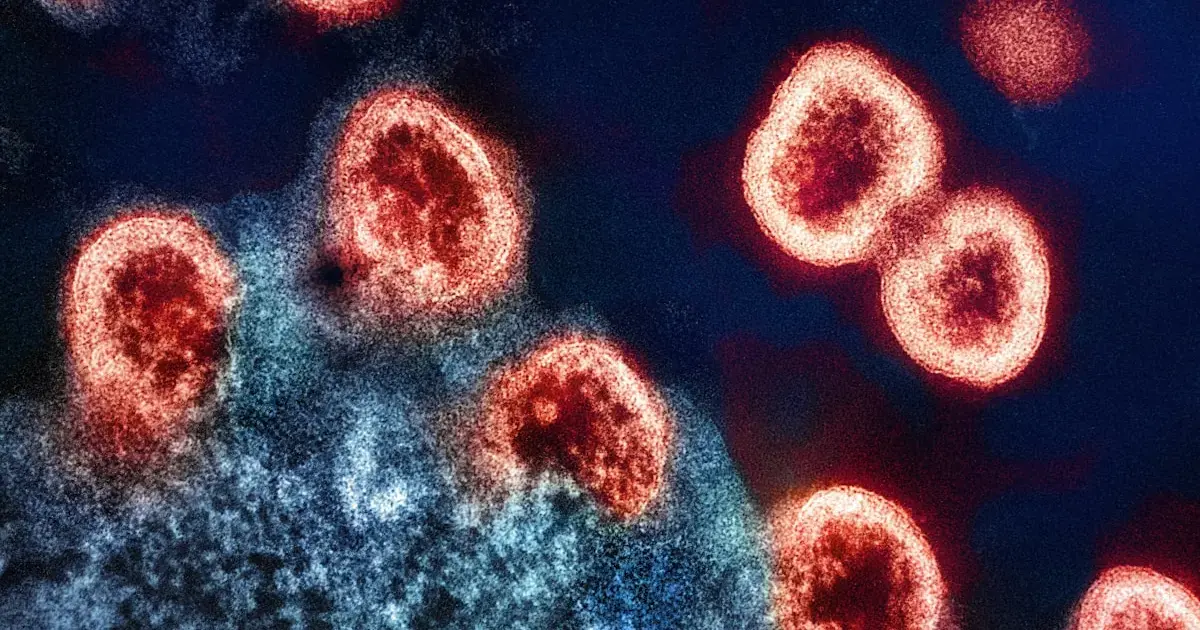 The Key to Rejuvenating the Immune System