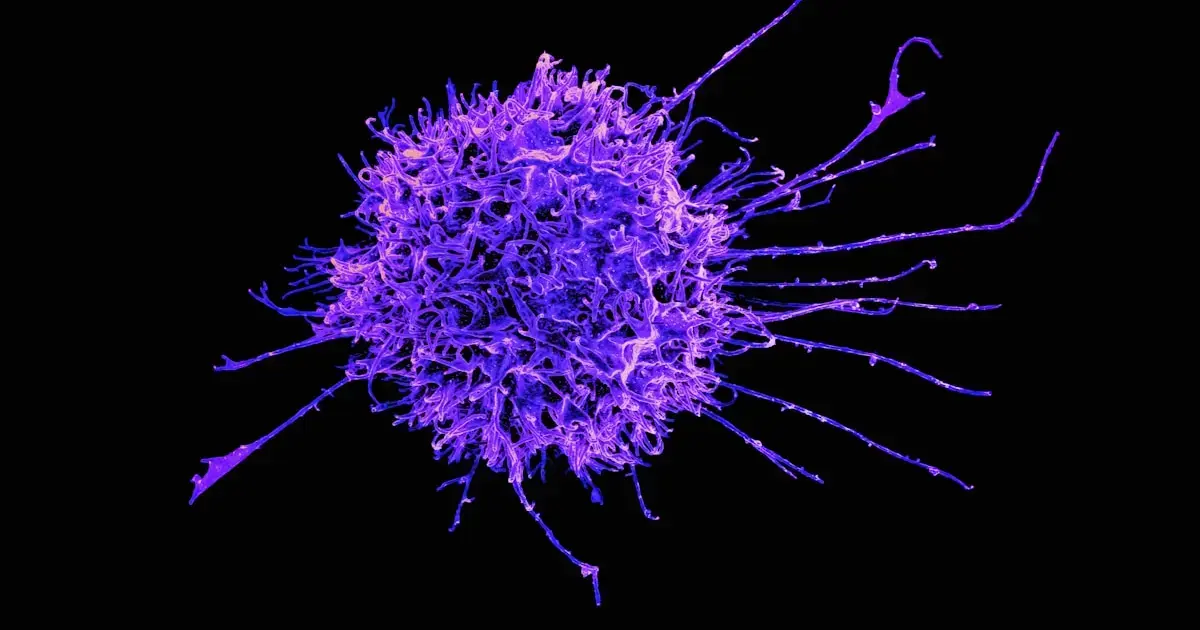 T-cells