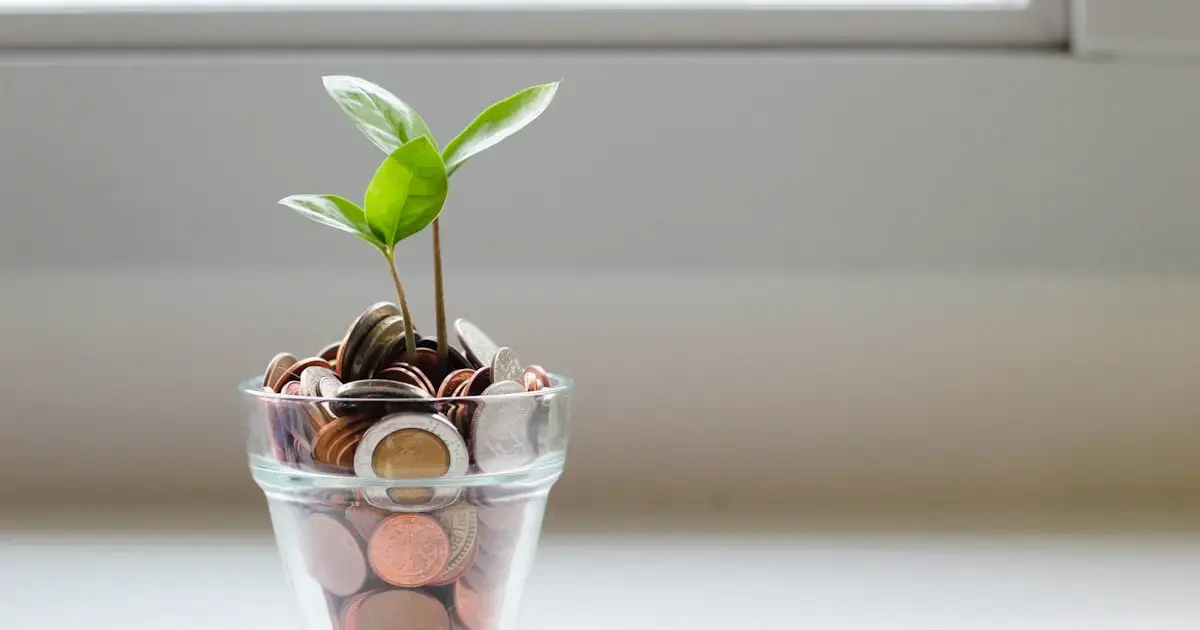 A plant in a pot with coins