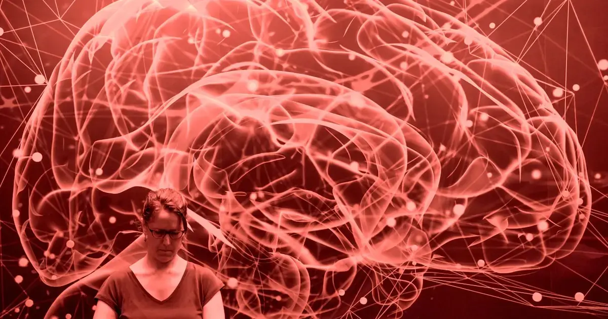 Neural Networks of the Brain