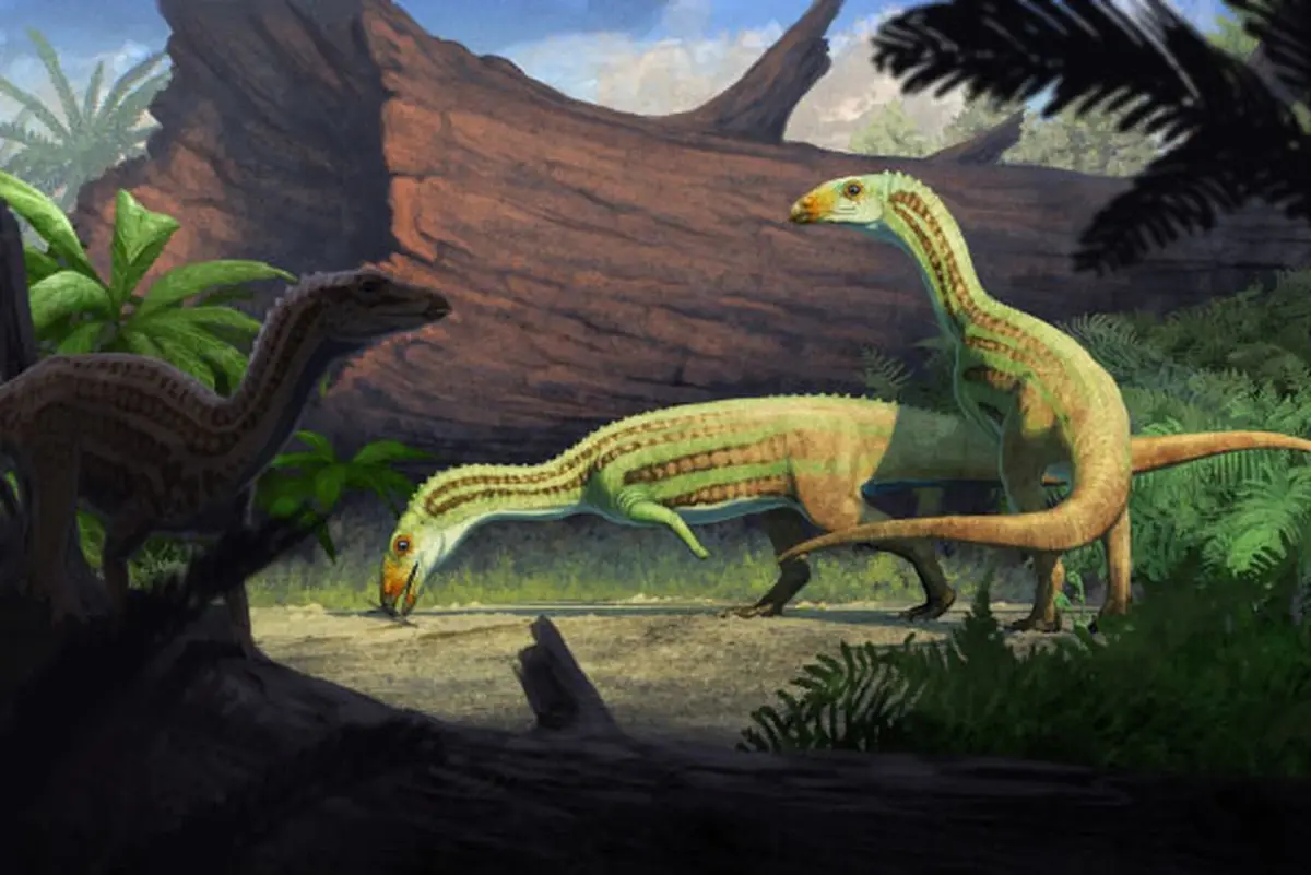 A Triassic crocodile relative wandered Arizona on two legs
