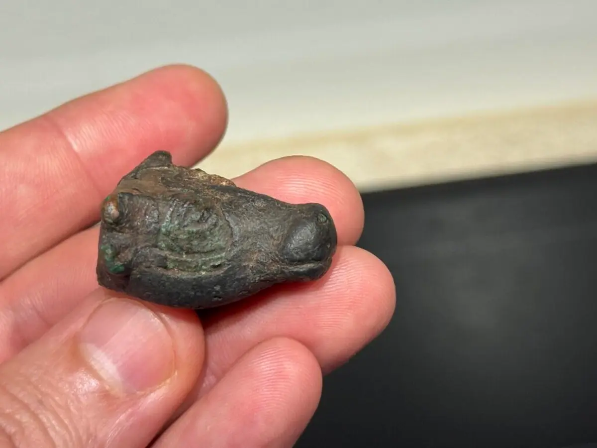 Tourist finds rare 3,000-year-old bronze bull head in Mallorca