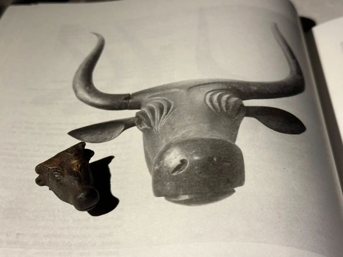 Bronze bull head in Mallorca