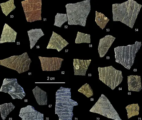 fragments of eggshells with geometric lines