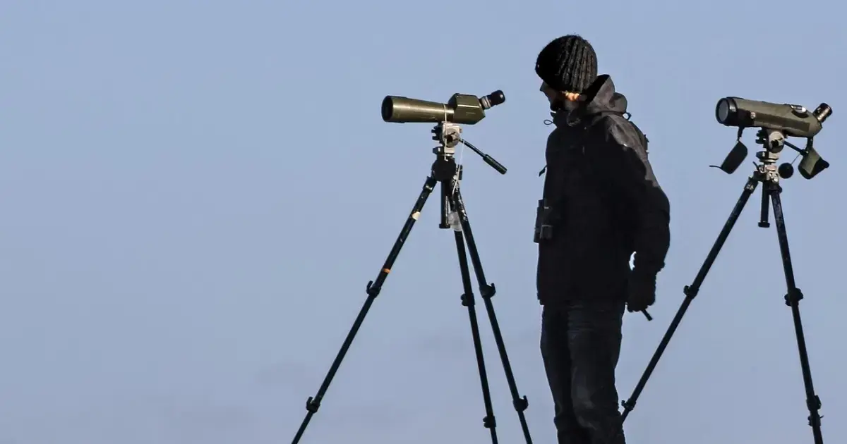 Birdwatching protects vision and memory from rapid aging