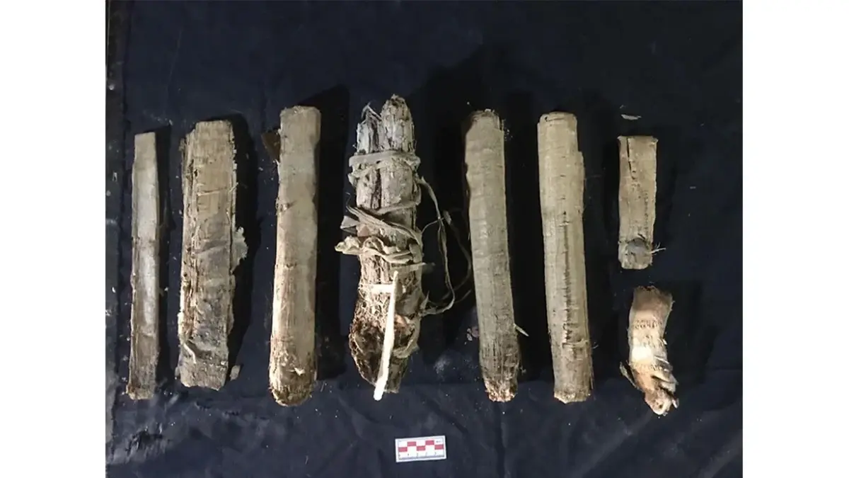 rare sarcophagi and papyri discovered in a rock shelter in Egypt