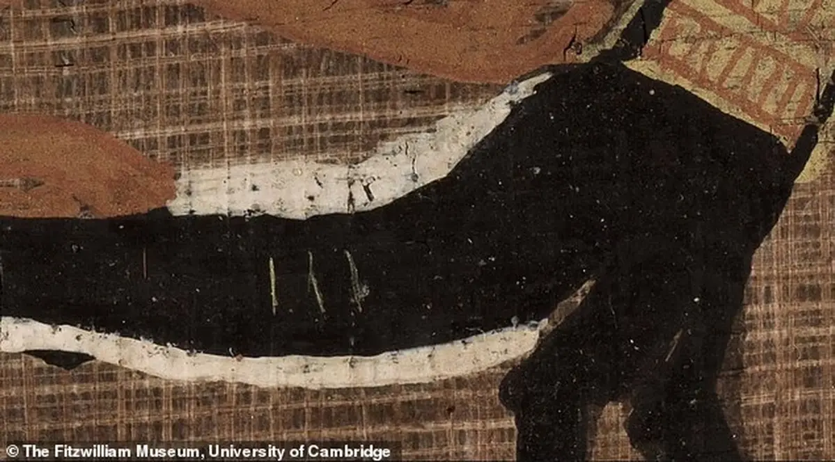 шар білого пігменту нанесений поверх чорного тіла шакала