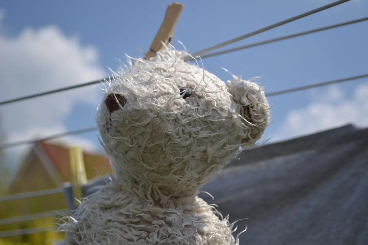 toy drying after washing